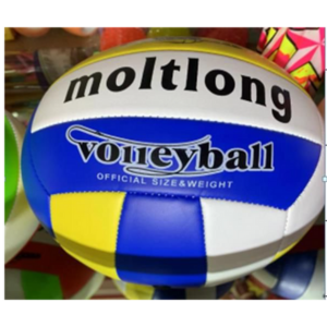 Pelota Voleibol